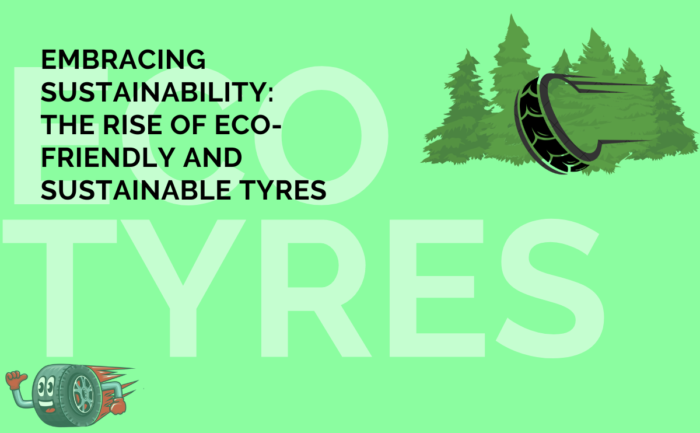 Embracing Sustainability: The Rise of Eco-Friendly and Sustainable ...
